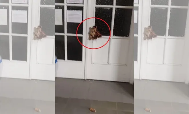 Almanya'da camiye alçak saldırı 