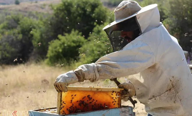 Hobi olarak başladığı arıcılıkta üretim yolunda ilerliyor 