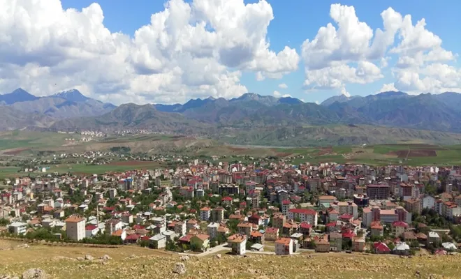 Kovancılar ve Palu  İlçelerinde toplam vaka sayısı 228