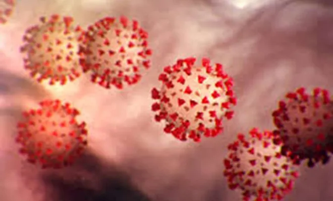 Coronavirus'te ilk yedi gün uyarısı! 