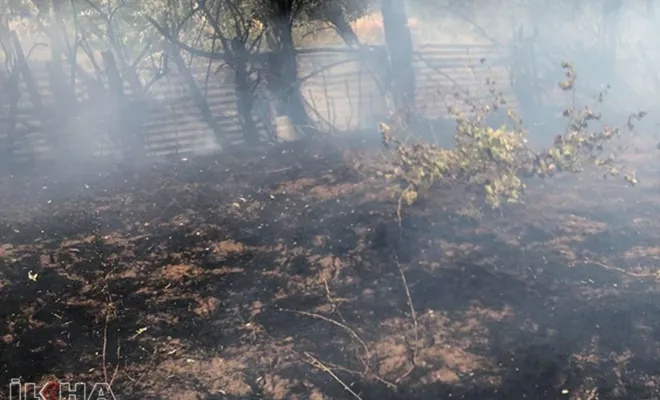 Kovancıar'da çıkan yangında iki bahçe yandı
