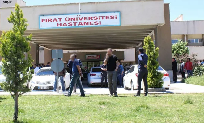 Ceviz ağacından düşen şahıs hayatını kaybetti