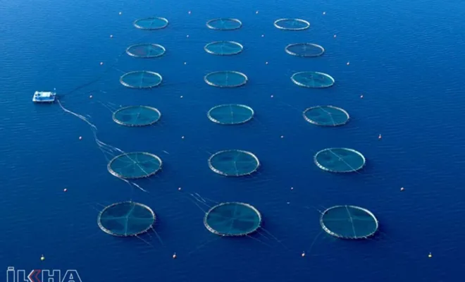 Su ürünleri desteklerinden yararlanmak isteyenler için son başvuru tarihi 25 Aralık