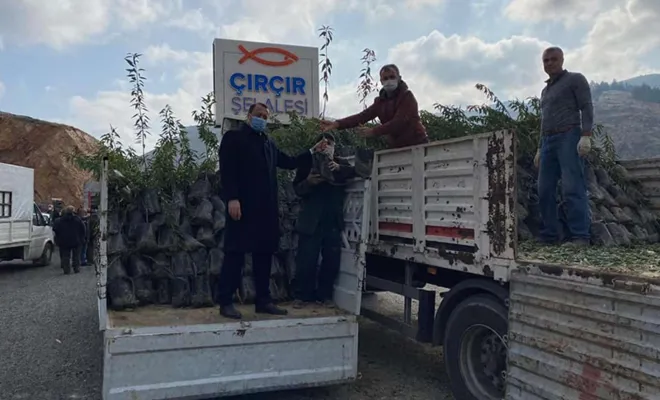 ​Keban'da çiftçilere 27 bin badem fidanı dağıtıldı