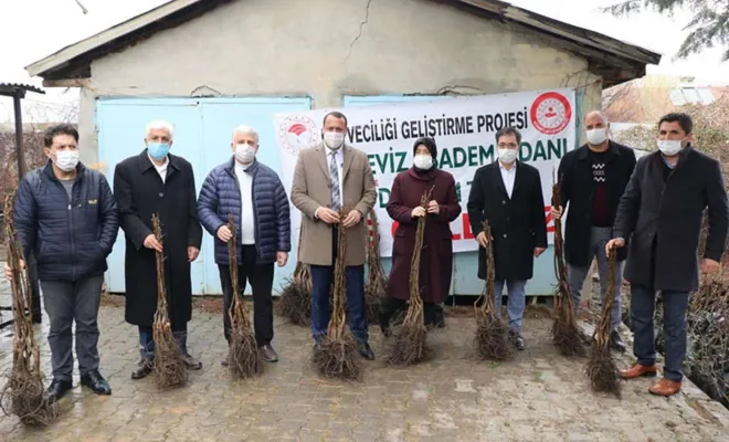 Kovancılar`da 5 bin 500 fidan dağıtıldı