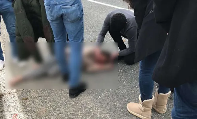 Kovancılar`da Koyunları güden kız çocuğuna otomobil çarptı 