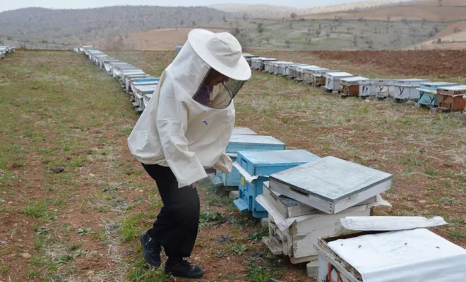 Palu`da arıcılara 63 bin TL ödeme yapılacak