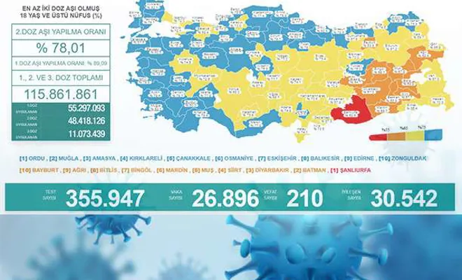 Türkiye'de bir günde Covid-19 nedeniyle 210 kişi vefat etti 