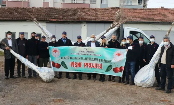 Elazığ'da 3 bin vişne fidanı dağıtıldı 
