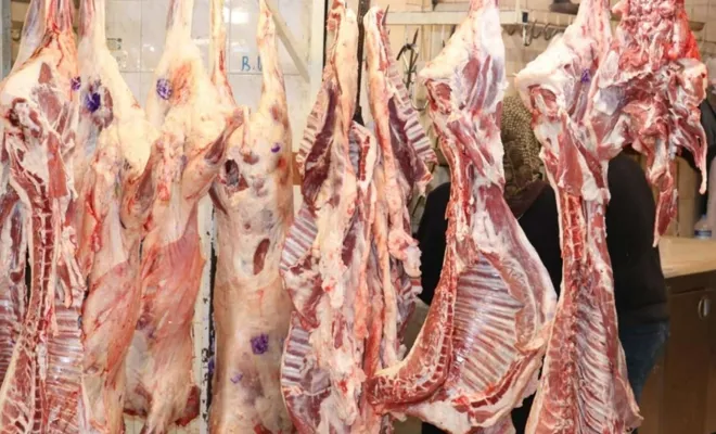 Kırmızı et üretimi arttı 