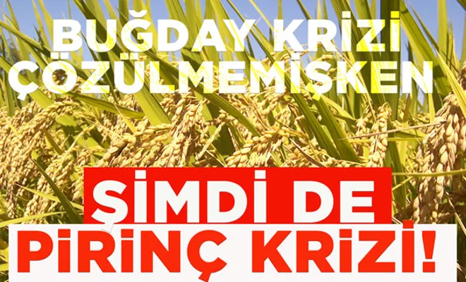 Şimdi de pirinç krizi mi?