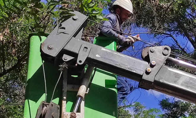 Ağaçta mahsur kalan yavru kedi 7 saat sonra kurtarıldı