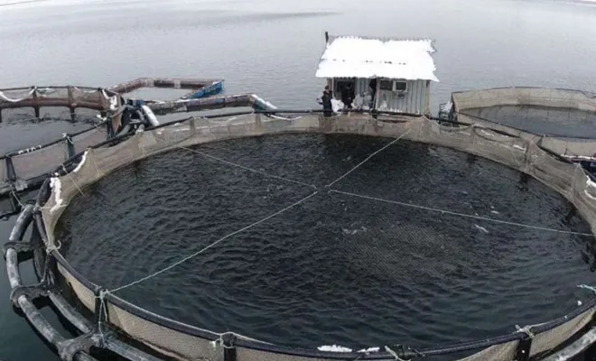 Keban Barajında Somon Balığı üretimi gerçekleştirilecek 