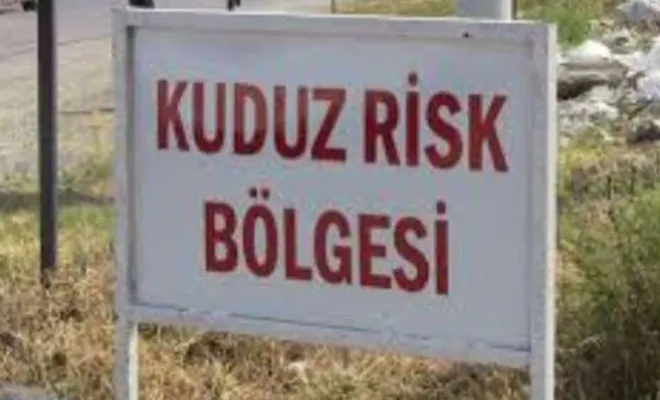 Tunceli'de bir köyde kuduz nedeniyle karantina kararı alındı 