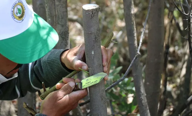 Orman Genel Müdürlüğü işçi alacak