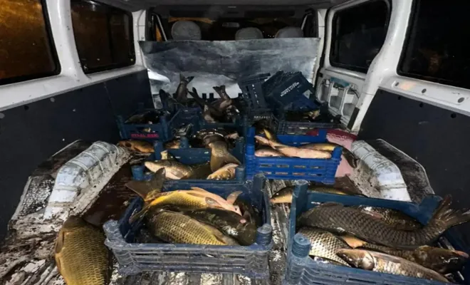 Palu'da kaçak avlanan 600 kilo balığa el konuldu
