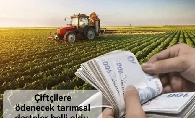 Çiftçilere ödenecek tarımsal desteler belli oldu 