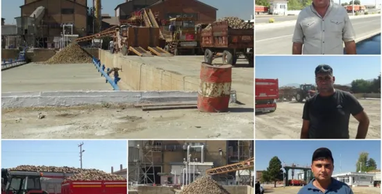 Altın fiyatlarında son durum