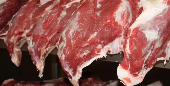 Aile destek ödemeleri bugün yapılacak 