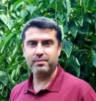 Evrimleşme ve İnsanın Hayvanlığı Tartışmas