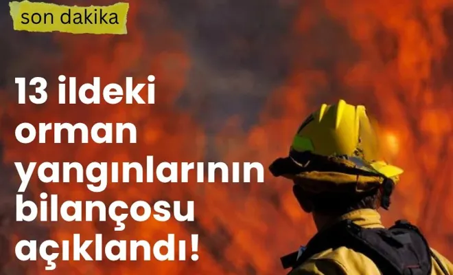 13 ildeki orman yangınlarının bilançosu açıklandı!
