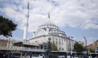 Yılanlar Evlerde Görülmeye Başladı