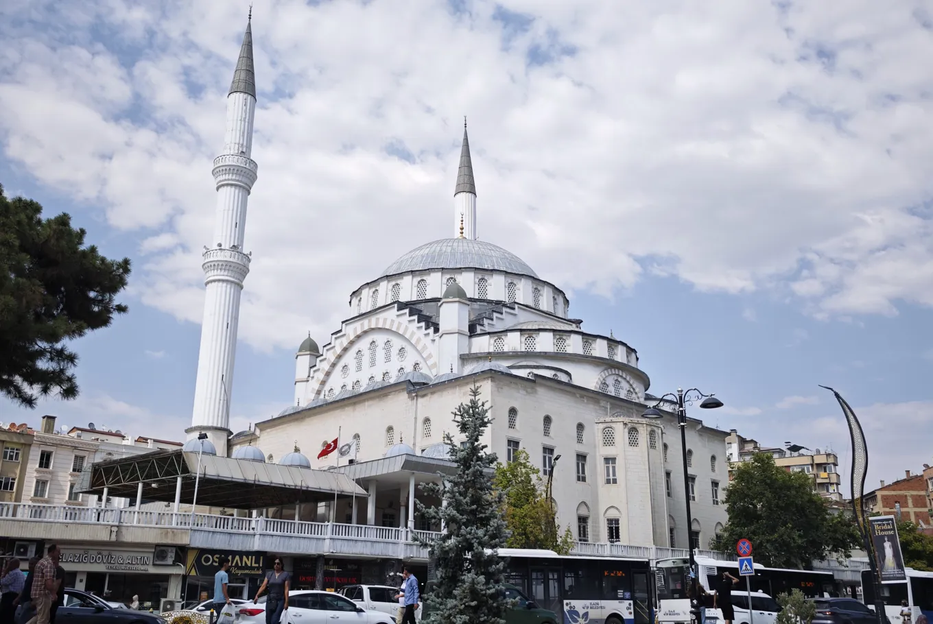 Yılanlar Evlerde Görülmeye Başladı