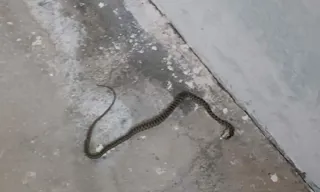 Güneykent Mahallesi'nde Kardeşlik Turnuvası Başladı: Gençler Hem Dinini Öğreniyor Hem Sporla Buluşuyor