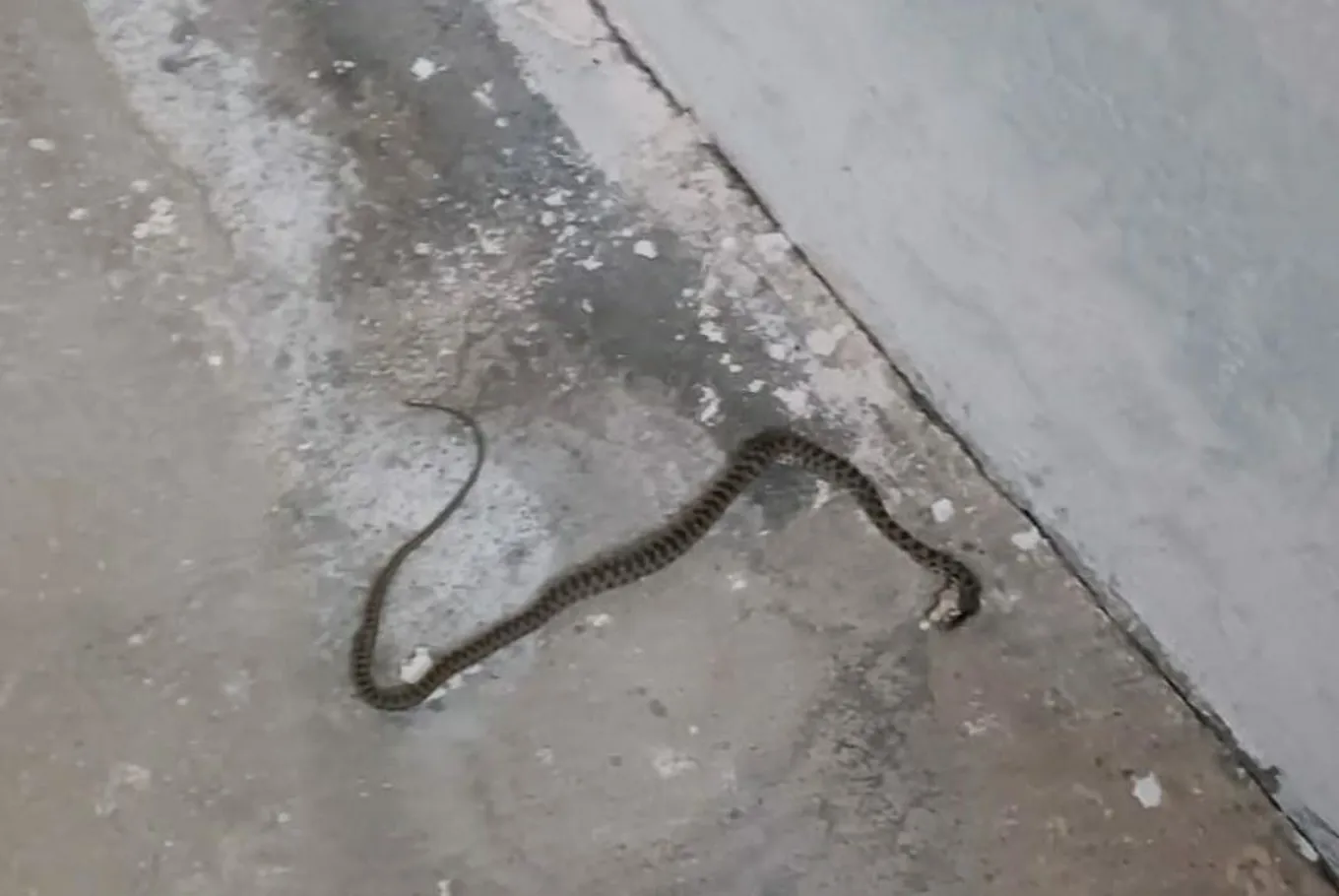 Memurların toplu sözleşme süreci bugün başlıyor