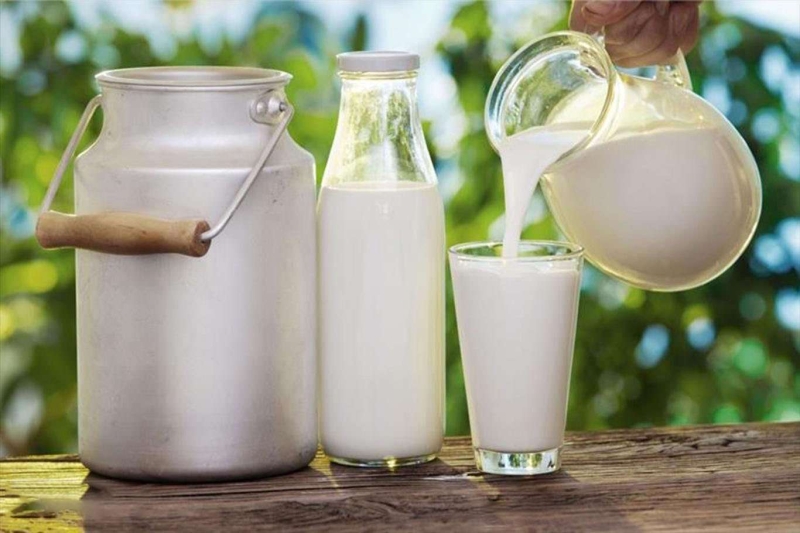 Çiğ süt desteğine ilişkin başvuru esasları düzenlendi 